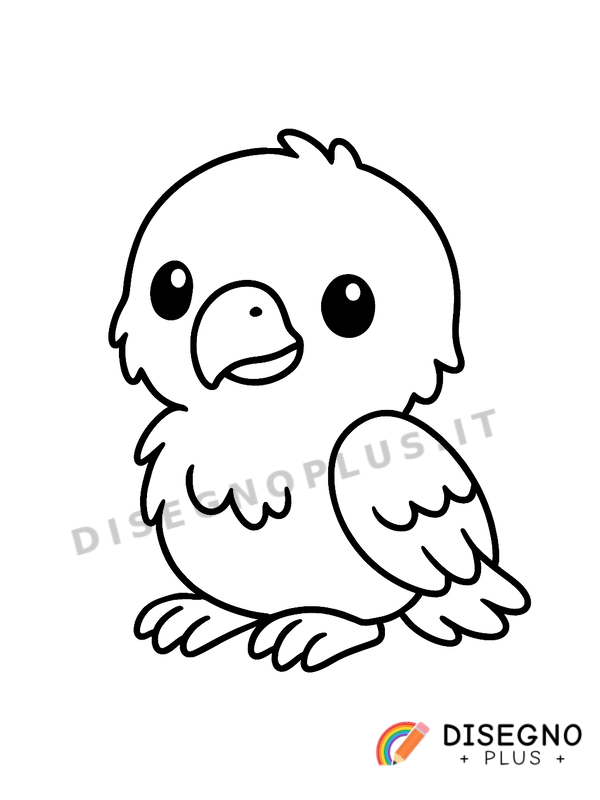 Disegno Aquilotto da colorare