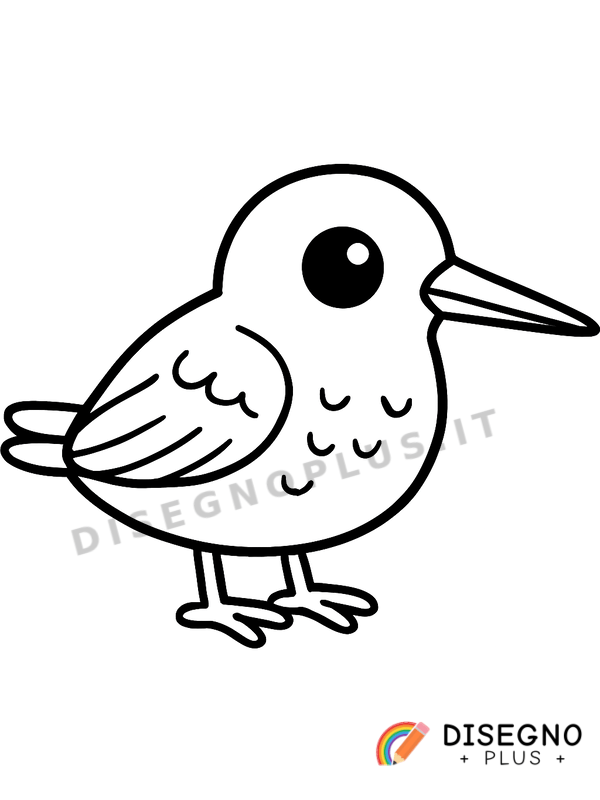 Disegno Beccaccia da colorare