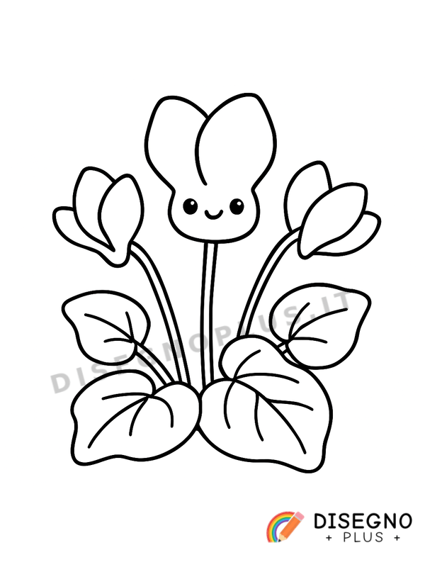 Disegno Ciclamino da colorare