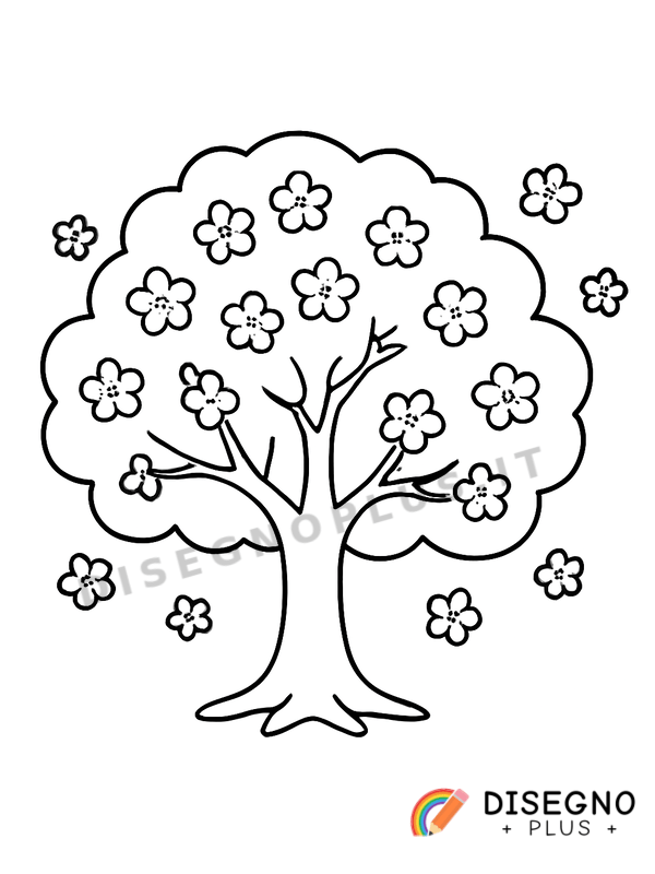 Disegno Ciliegio in fiore da colorare