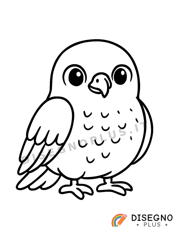 Disegno Falco con artigli affilati e sguardo acuto attento   da stampare e colorare