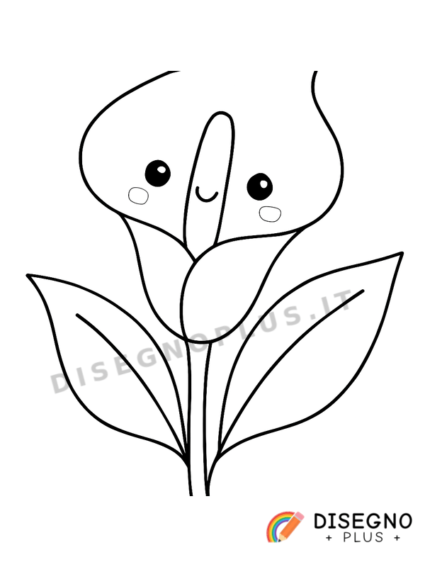 Disegno Fiore calla da colorare