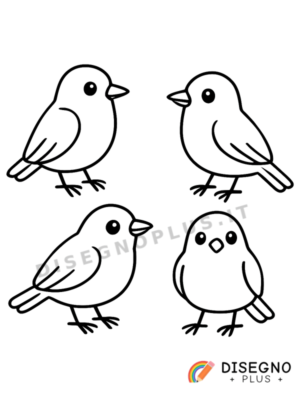 Disegno Merli neri da colorare