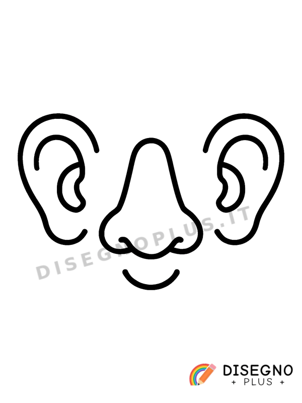 Disegno Naso e orecchie di profilo semplice   da stampare e colorare