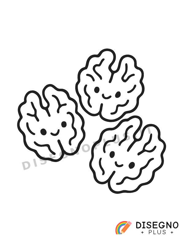 Disegno Noci sgusciate da colorare