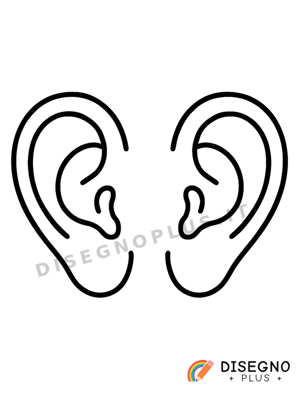 Disegno Orecchie grandi da colorare