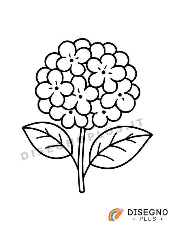 Disegno Ortensia da colorare