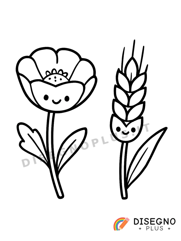 Disegno Papavero e spiga da colorare