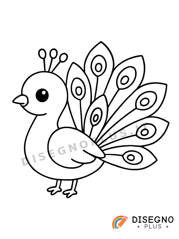 Disegno Pavoni con la coda aperta in mostra orgogliosa   da stampare e colorare